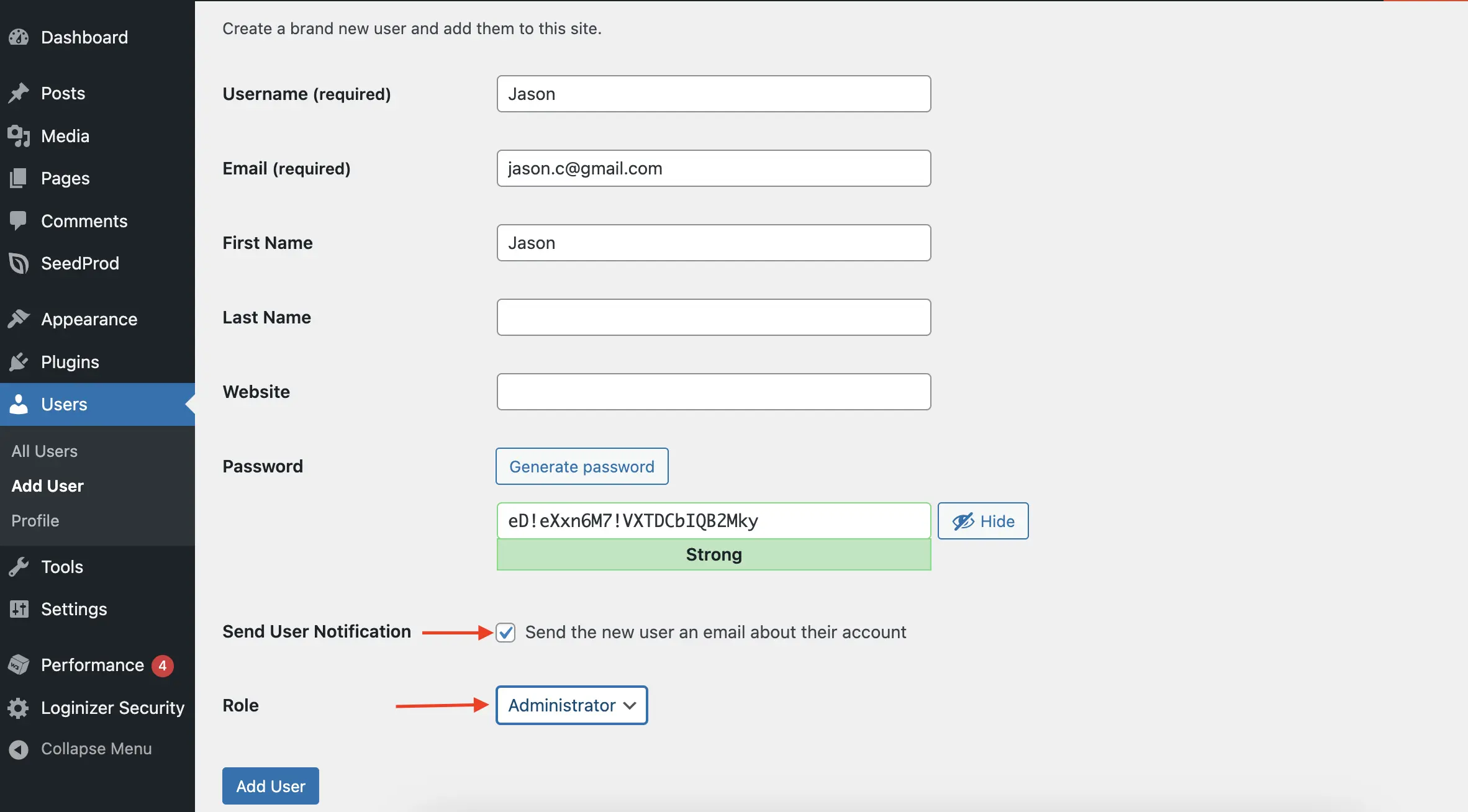 Screenshot: How to fill out new user details in WP